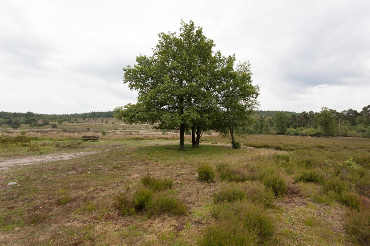 Chalet Hoenderloo Spar Exteriör bild